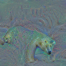 n02133161